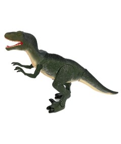 Dinozaur Velociraptor Porusza się Ryczy Świeci