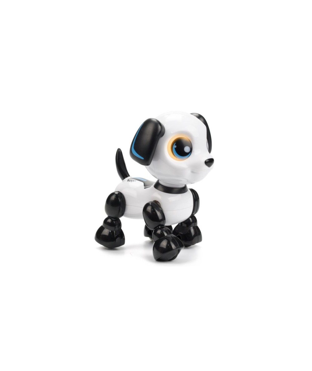 Robo heads up puppy